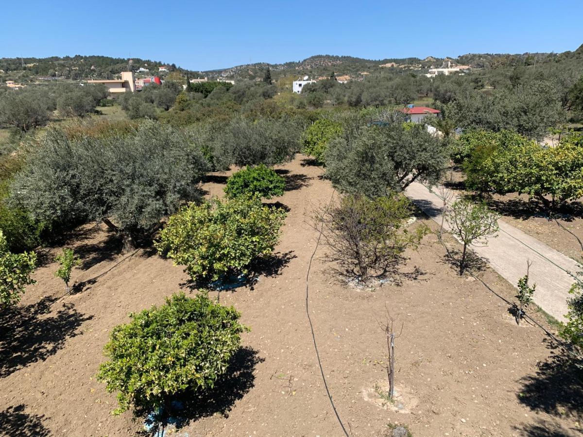 Villa Secret Edem Kolymbia Exterior foto